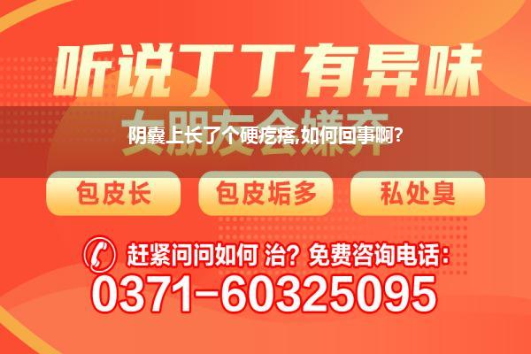 阴囊唇长了个硬疙瘩一碰就疼(外阴内侧长个硬疙瘩很疼是如何回事)