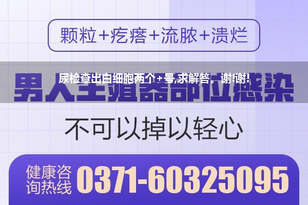 尿检查出白细胞两个+号,求解答。谢!谢!