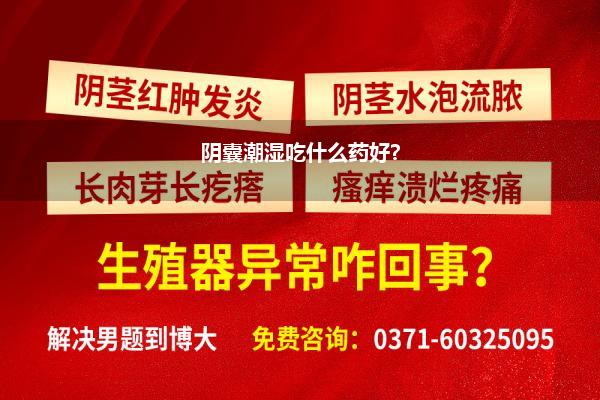 阴囊潮湿易出汗用什么中成药最好一(除湿气最好的清热祛湿药是什么请